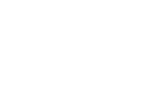 Dagmar Ruoff Logo